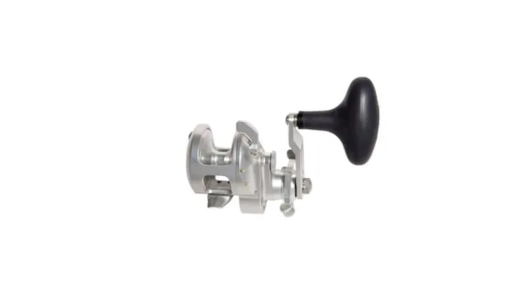 Accurate Tern 2 Star Drag Conventional Reels