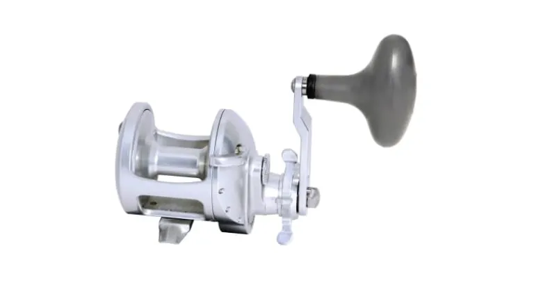 Accurate Tern 2 Star Drag Conventional Reels