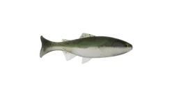 Anglers King Sugar Shaker Trout