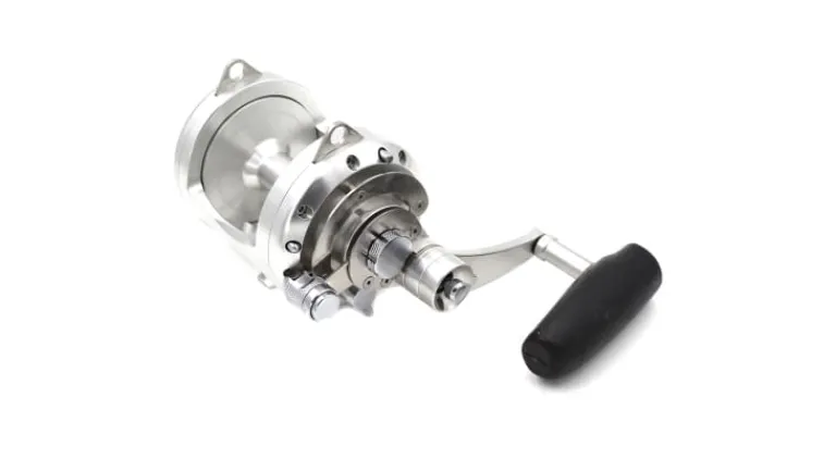 AVET EXW 2 Speed Lever Drag Reel