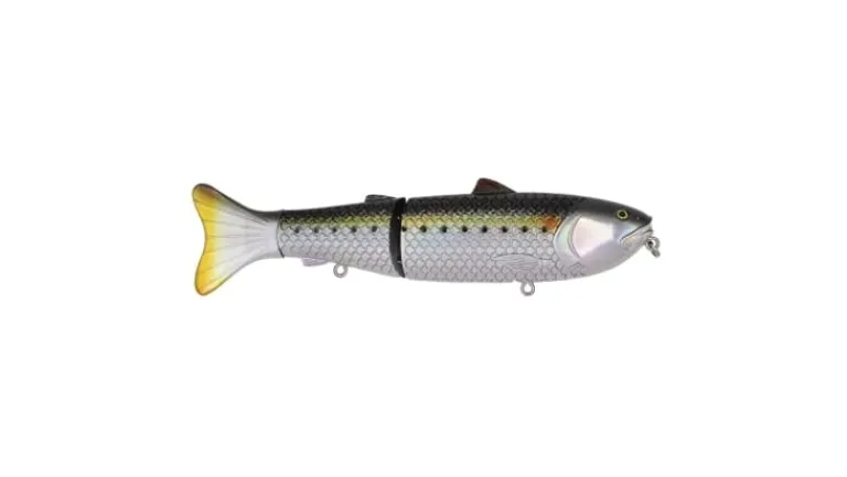 Baitsanity Antidote 7 Glide Baits