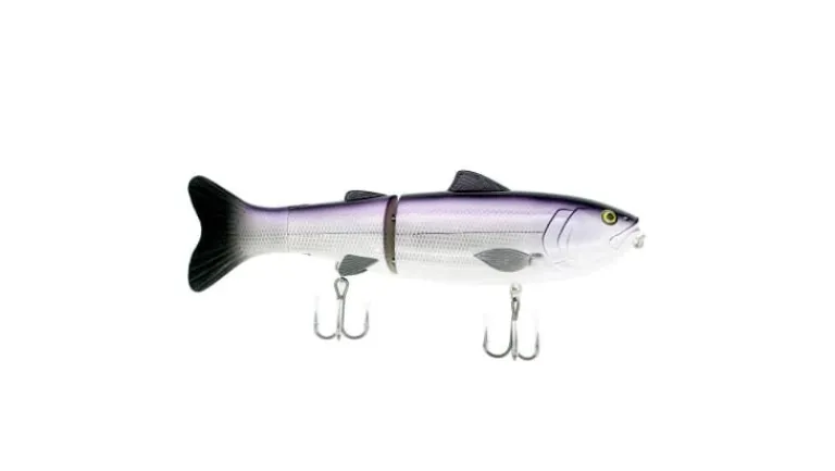 Baitsanity Explorer 9 Gen 2 Glide Baits