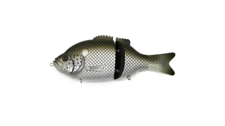 Baitsanity Explorer Gill Glide Bait 6