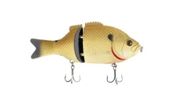 Baitsanity Explorer Gill Glide Bait 6