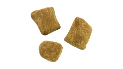 Berkley Catfish Bait