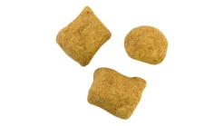 Berkley Catfish Bait