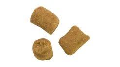 Berkley Catfish Bait