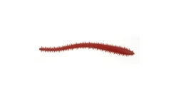 Berkley Gulp Sandworm