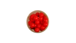 Berkley Powerbait Eggs Floating Magnum