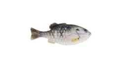 Berkley PowerBait Gilly