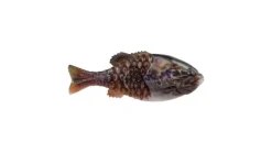 Berkley PowerBait Gilly