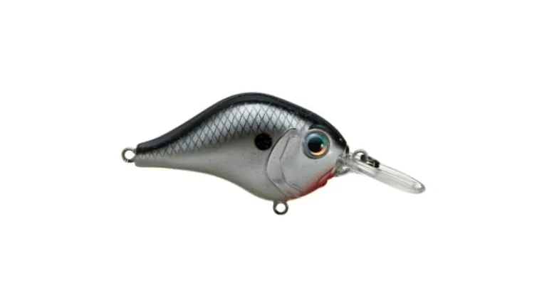 Bill Lewis MR-6 Crankbait