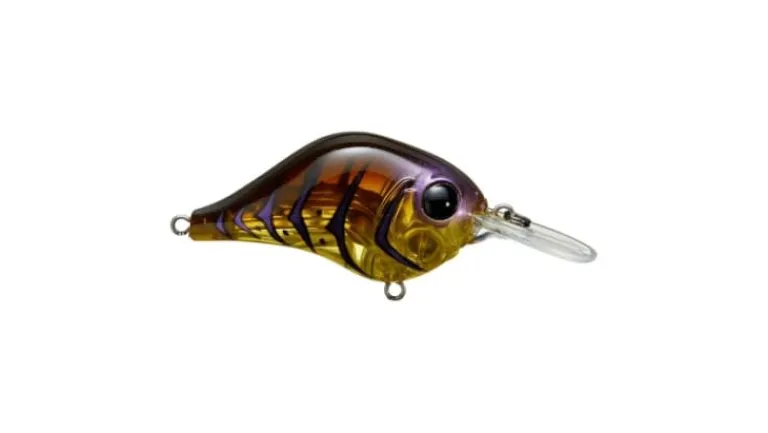 Bill Lewis MR-6 Crankbait