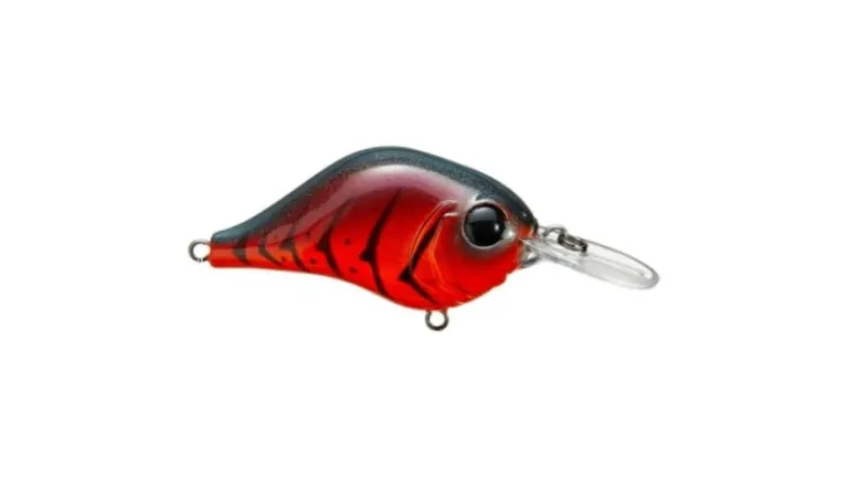 Bill Lewis MR-6 Crankbait