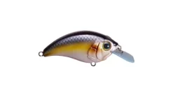 Bill Lewis SB-57 Squarebill Crankbait