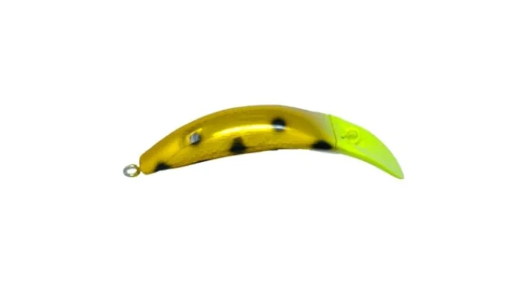 Brad's KillerFish
