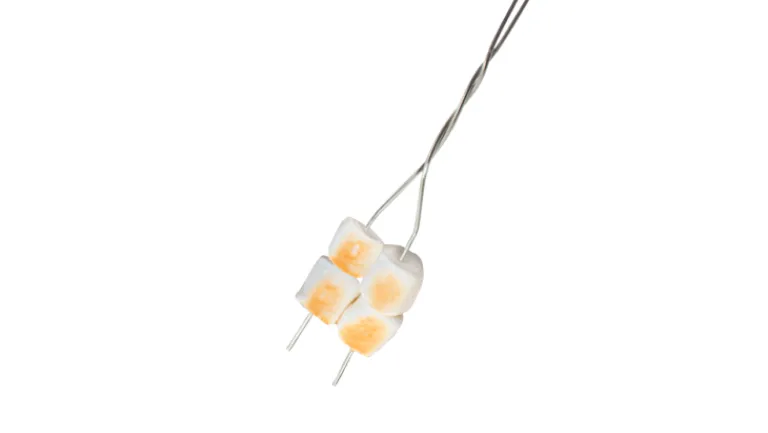 Coghlan's Coghlan Toaster Forks