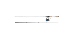 Daiwa Legalis LT Spinning Combo