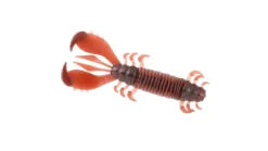 Deps MS Craw