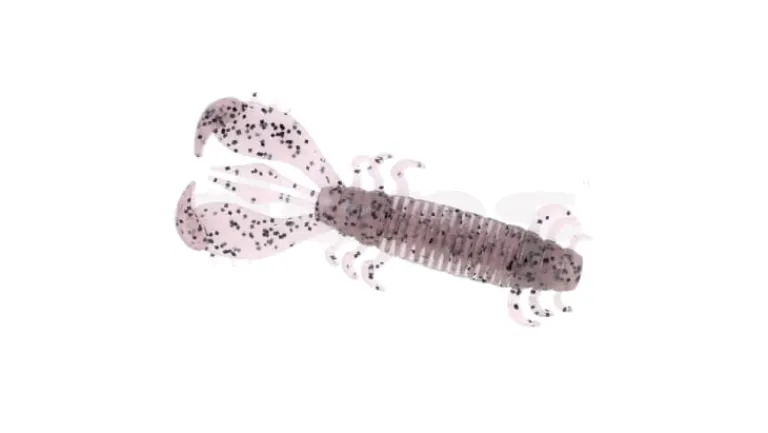 Deps MS Craw