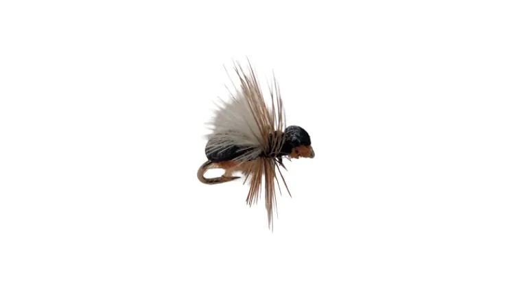 Dry Creek Fly Dry Fly