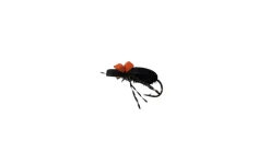 Dry Creek Fly Dry Fly