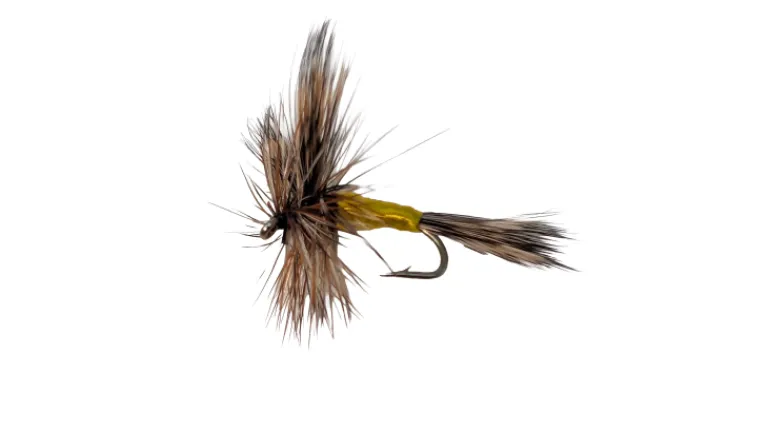 Dry Creek Fly Dry Fly