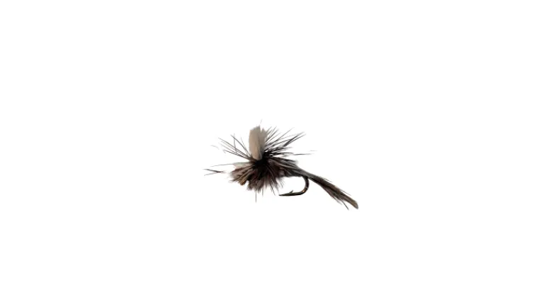 Dry Creek Fly Dry Fly