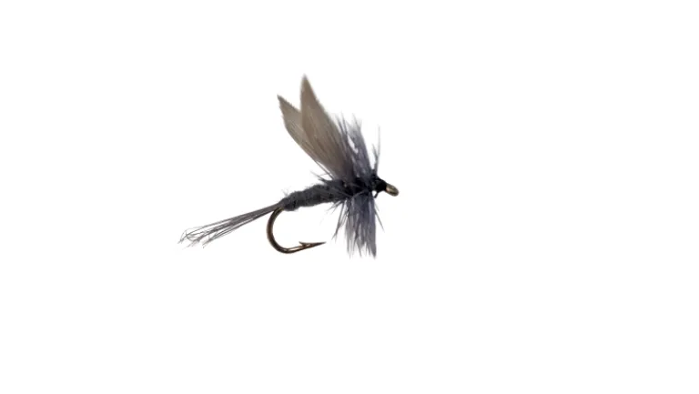 Dry Creek Fly Dry Fly