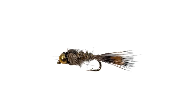 Dry Creek Fly Nymph