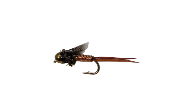 Dry Creek Fly Nymph