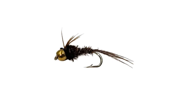 Dry Creek Fly Nymph