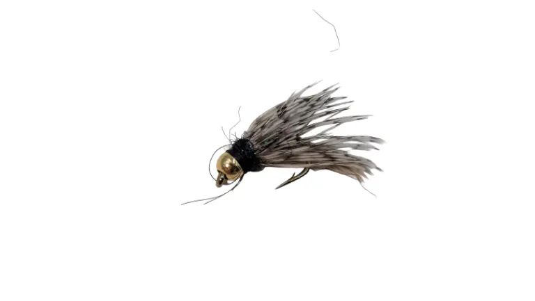 Dry Creek Fly Nymph Tungsten