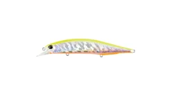 Duo Realis Jerkbait 120SP