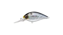 Evergreen CR-8 Crankbaits