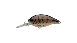 Evergreen CR-10 Crankbaits