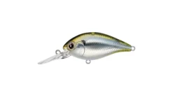 Evergreen CR-10 Crankbaits