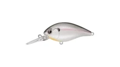 Evergreen CR-10 Crankbaits