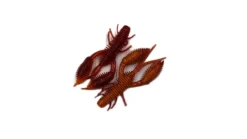 Geecrack Bellows Craw