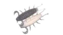 Geecrack Bugpee