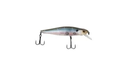 G-Ratt Jerkbait