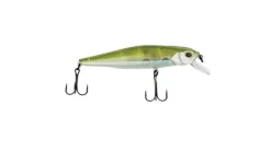 G-Ratt Jerkbait