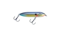Heddon Super Spook BOYO