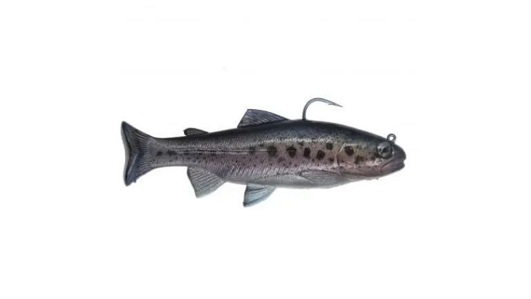 Huddleston Deluxe 6" Trout