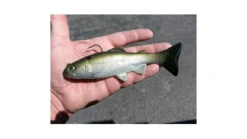Huddleston 68 Special Swimbait