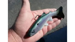 Huddleston 68 Special Swimbait