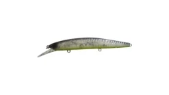 Ima Flit Jerkbait
