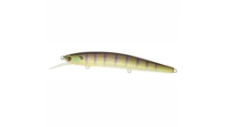 Ima Flit Jerkbait