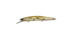 Ima Flit Jerkbait