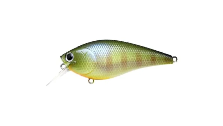 Lucky Craft Fat CB BDS 3